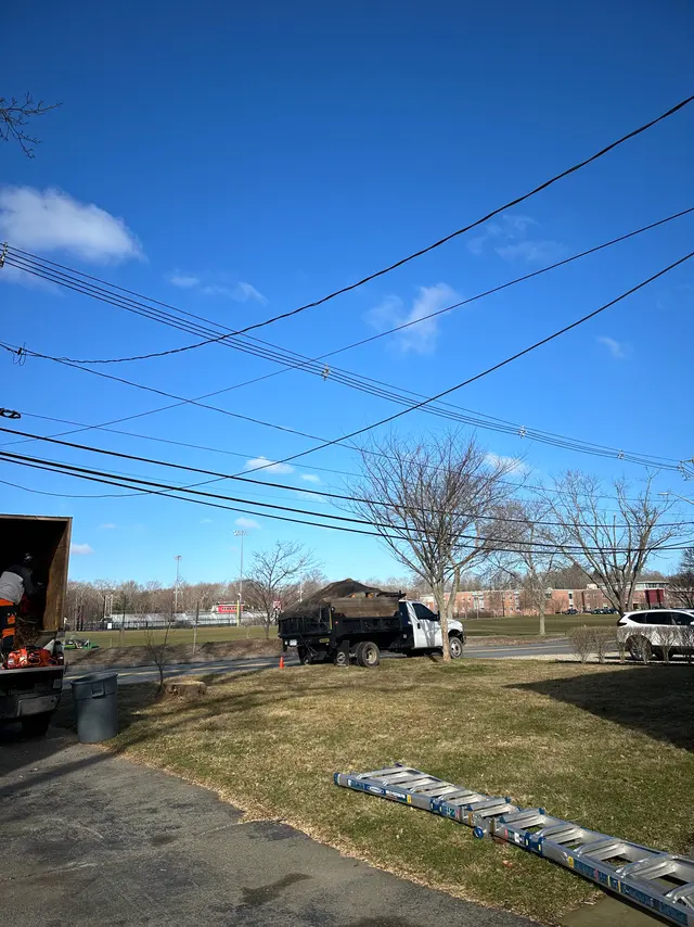 The same roadside after the removal, with the utility spans running through clear sky, the ladders down on the grass and the dump truck loaded.